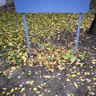 01.12.2018
